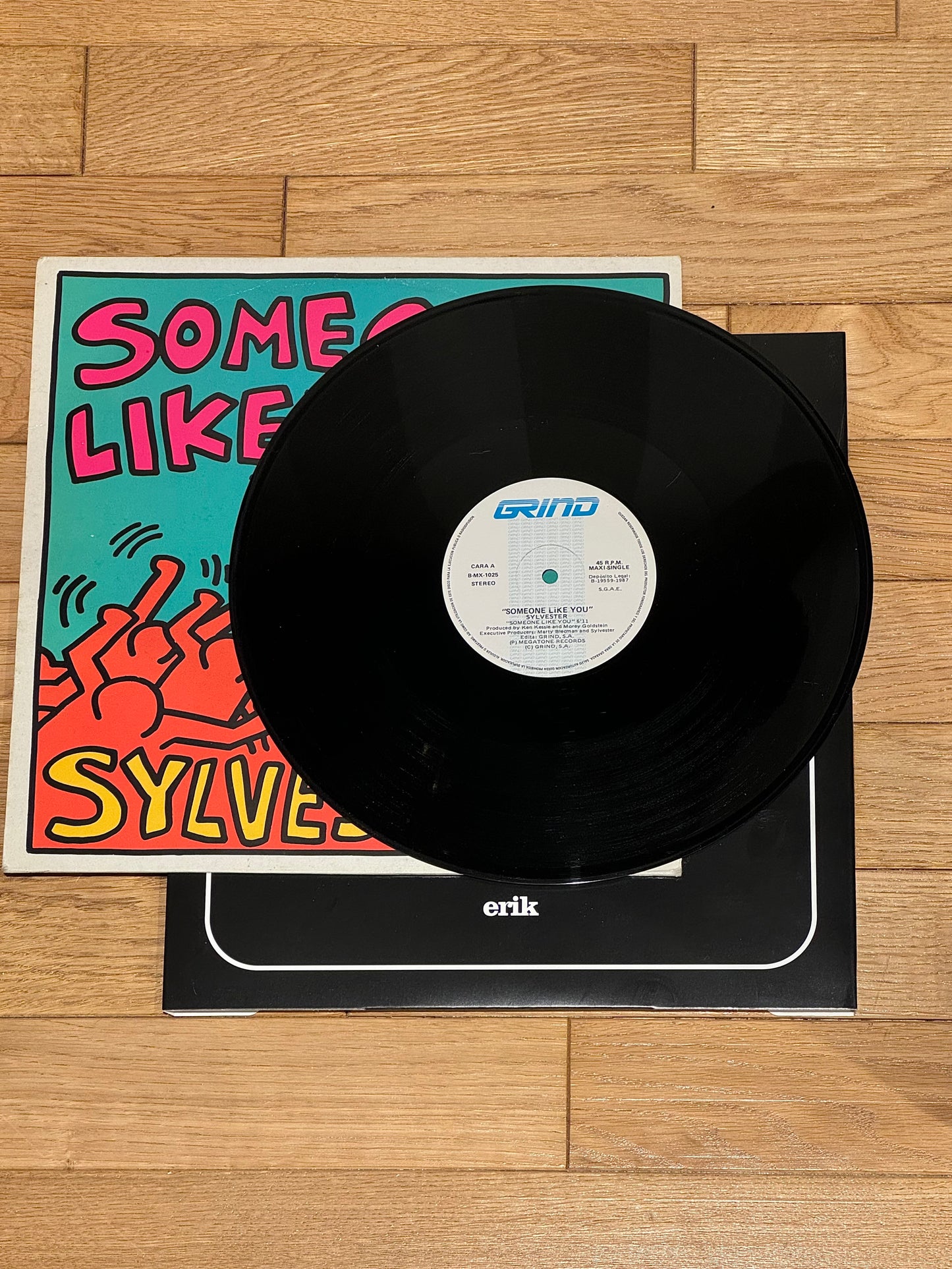 Vinyle encadré - SYLVESTER - Keith Haring